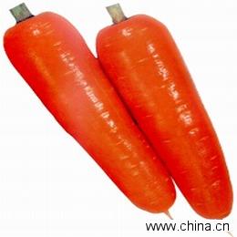 胡萝卜