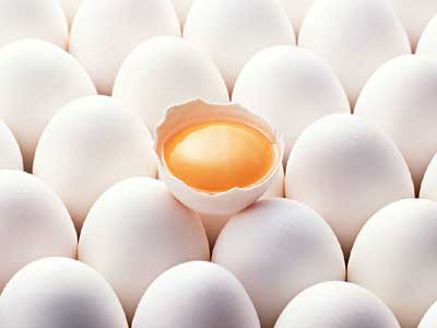 鸡蛋